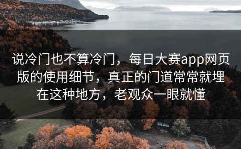 说冷门也不算冷门，每日大赛app网页版的使用细节，真正的门道常常就埋在这种地方，老观众一眼就懂